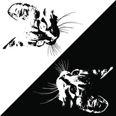 silhouettes of cats on white and black background. Vector illustration