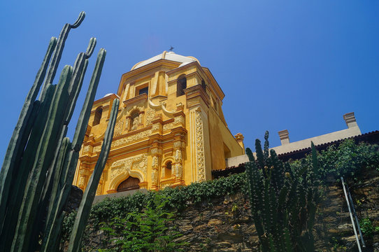 Obispado Cactus Foreground