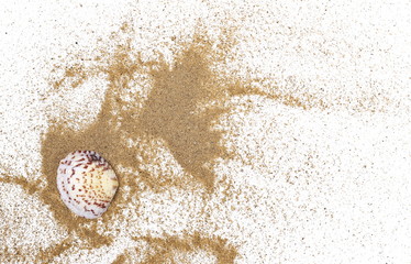 Sea shells in sand pile isolated on white background, top view