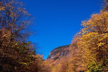 Autumn scene in Vermont mountains near Stowe