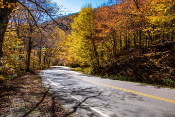 Road in autumn scene in Vermont mountains near Stowe
