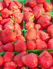 Top view, close distance of organic, freshly picked strawberries in green plastic baskets on display and forsale at a tropical farmers market