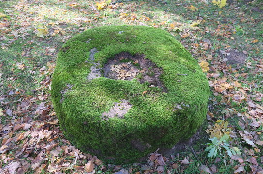 Sacred pagan stone - altar in ancient Lithuanian wood