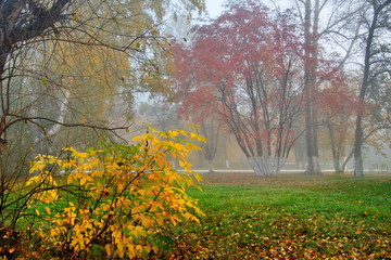 Russia. The South Of Western Siberia. Early foggy morning in the city Park