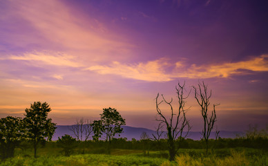 Amazing mountain landscape with colorful vivid sunset. Grass flowers and evening mountains. in Thailand