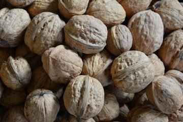 Walnüsse