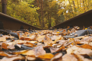 Railway in the autumn park