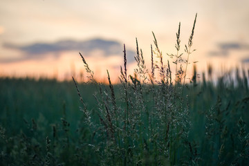 Sonnenuntergang