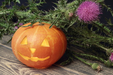 Halloween. Orange pumpkin with lit candle inside and sprig of thistle. Black wooden background