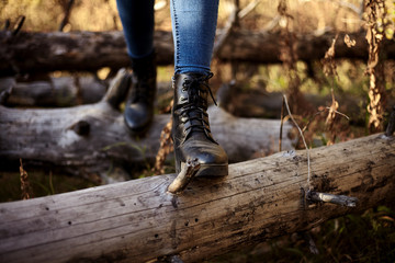 Hike on fallen logs
