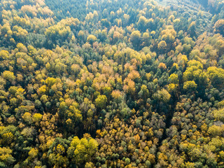 Naklejka na ściany i meble drone image. aerial view of rural area with fields and forests in autumn