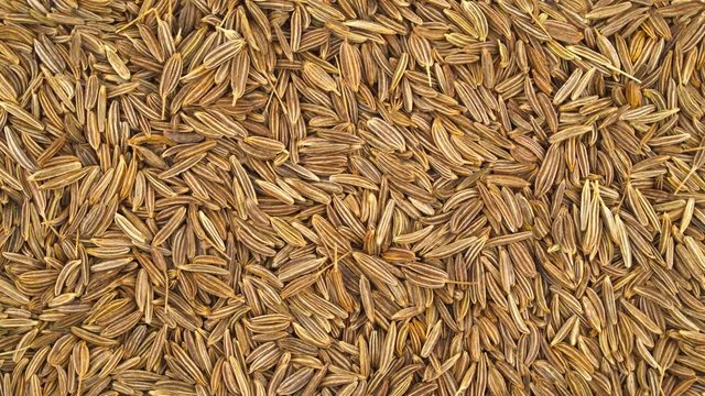 Caraway seeds pile. Full frame. Rotating. Close up. Macro.
