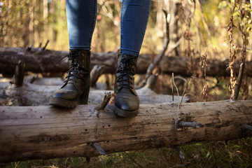 Hike on fallen logs