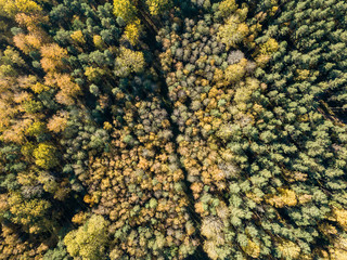 drone image. aerial view of rural area with fields and forests in autumn