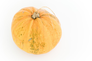Pumpkin isolated on white