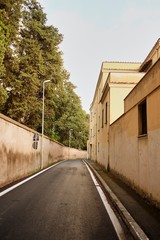 Empty s-curved path along the public skyline. Background of urban environment.
