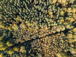 drone image. aerial view of rural area with fields and forests in autumn