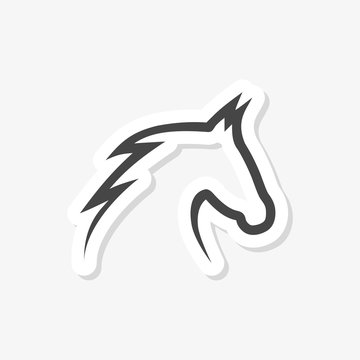Vector image of an horse on white background 