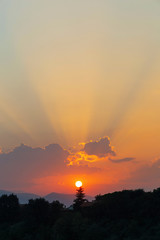 Fototapety na wymiar - Fototapeta24.pl