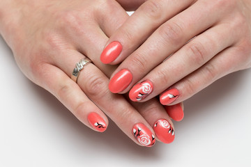 coral, red manicure with painted white roses on oval nails on a white background close-up