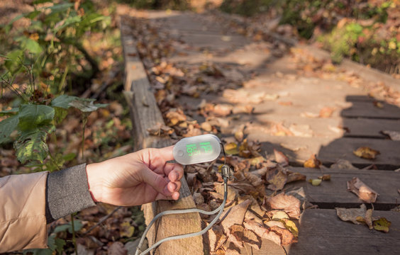 Blood Oxygen Meter On Woman Finger. Sunny Autumn Day