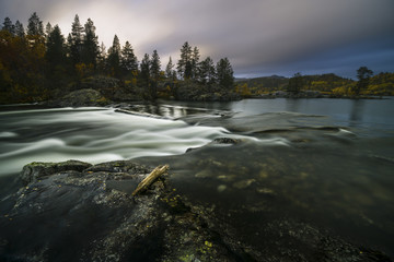 ein stück holz am rand