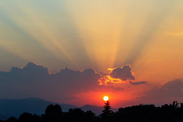 Fototapety na wymiar - Fototapeta24.pl