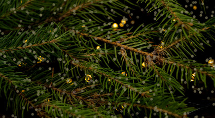 Christmas background, Christmas tree with blurred lights.