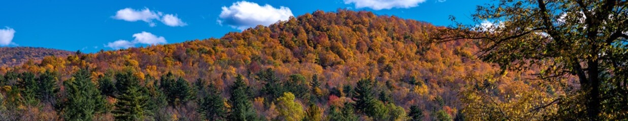 Naklejka premium Panoramic view of an autumn scene in Vermont mountains near Stowe