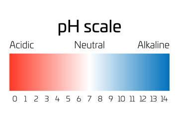 pH scale. Indicator of pH value expressing rate of acidity or basicity in chemistry.