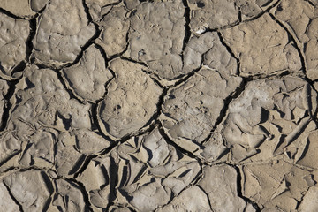 Cracked earth, cracked soil. texture of grungy dry cracking parched earth. Global worming effect.