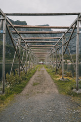 Fish racks in Lofoten