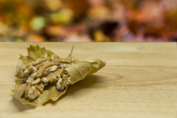 Autumn still life. A dry leave, full of nuts with space to write in