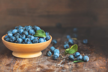 Autumn harvest blue sloe berries on a wooden table background. Copy space. Dark rustic style. Natural remedy - obrazy, fototapety, plakaty