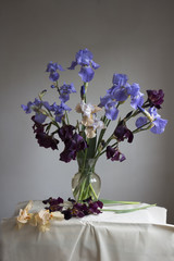 Still life with a bouquet of irises. Blue, maroon, beige irises in a glass vase on a gray background.