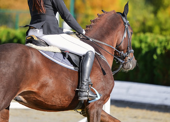 Sorrel horse and rider in uniform at show jumping competition. Equestrian sport background. Sunny...