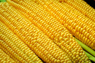 corn background