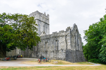 Muckross Abbey in Killarney-Nationalpark
Irland