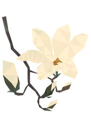 Fototapeta premium Colorful polygonal style design of blossoming magnolia flower