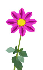 Colorful polygonal style design of blooming pink dahlia flower