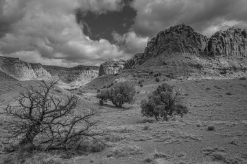 Desert landscape black and white