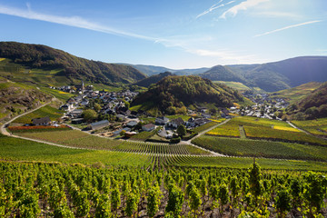 Obraz premium Blick auf Mayschoss vom Rotweinwanderweg