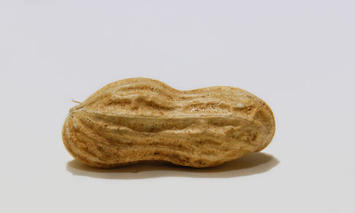 peanut with peel, macro photo with details.
