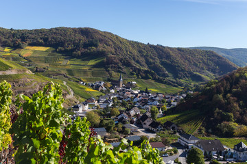 Blick auf Mayschoss vom Rotweinwanderweg