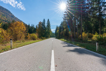 Landstraße im herbstlichen Wald