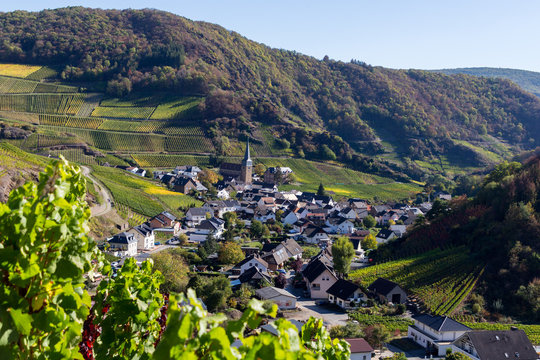 Blick auf Mayschoss vom Rotweinwanderweg