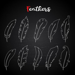 Vector hand draw fethers set in doodle style,isolated