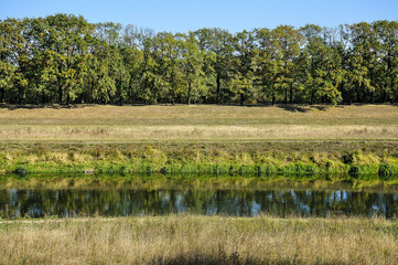 Słoneczny dzień nad rzeką