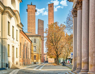 Le torri dei pappagalli a Pavia