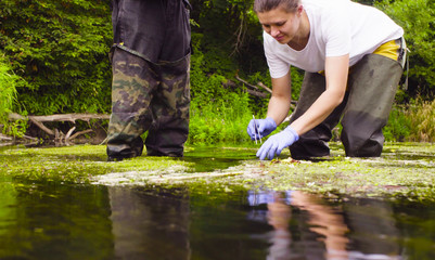 Man and woman scientist environmentalist standing in a river. Woman taking sample of duckweed.